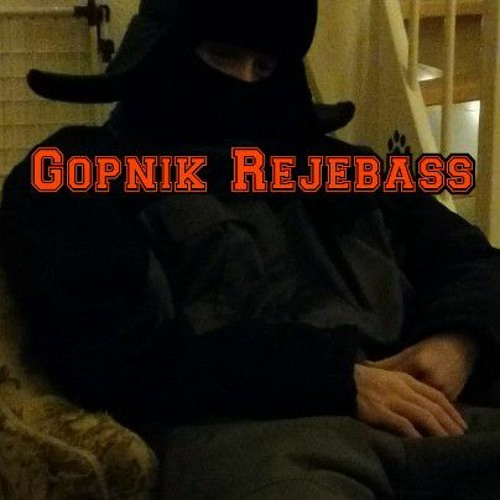 Gopnik RejeBass’s avatar