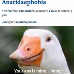 yehaw