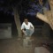 Abdalla mousa