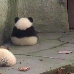 한