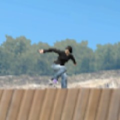 fakie