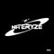 niteryze