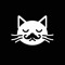 Cat Groove