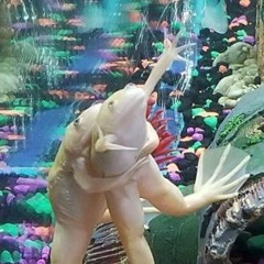 when one animal eats another