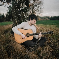 Désespoir des singes