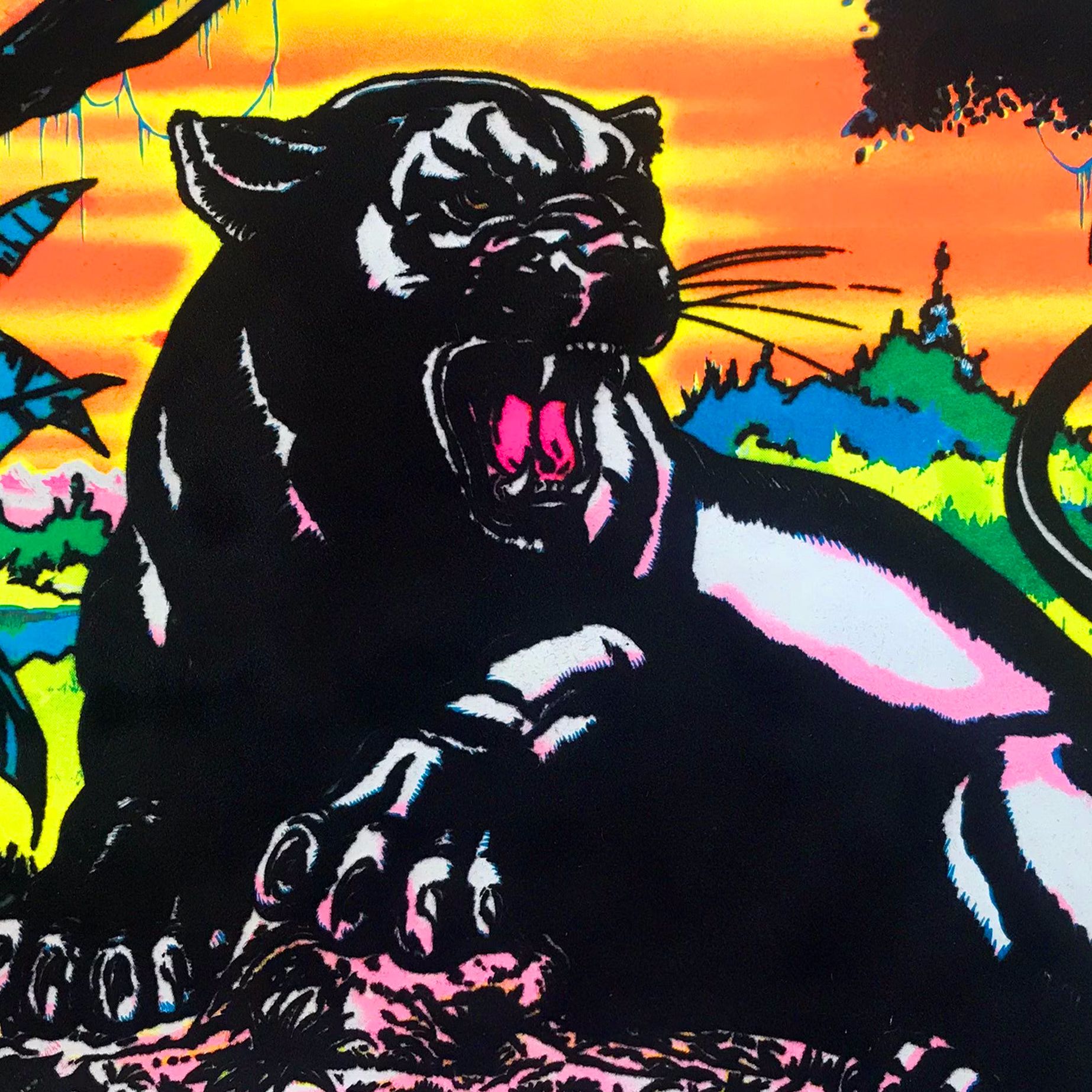 Panthera