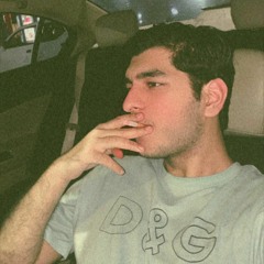 Shabih Ul Hassan