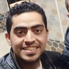 Mostafa Abd Elmonaim