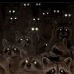 bats