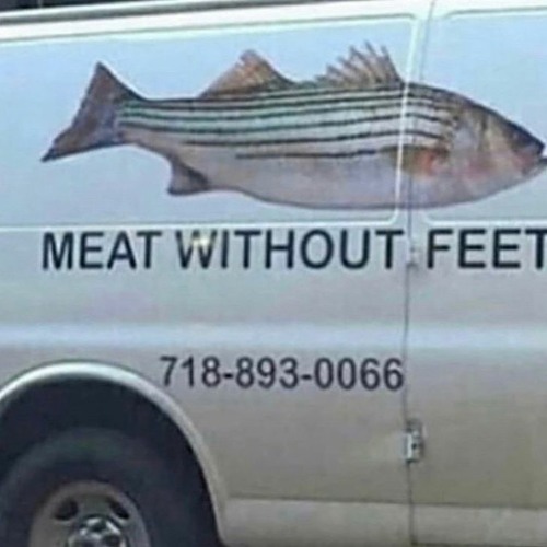 MEAT WITHOUT FEET FISH DELIVERY’s avatar