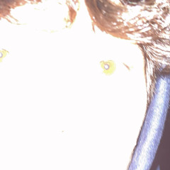 bbradenn