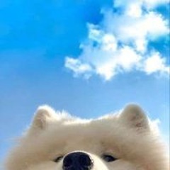 Nguyễn Lê Gia Bảo