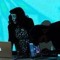 Iona_Pressley_883264
