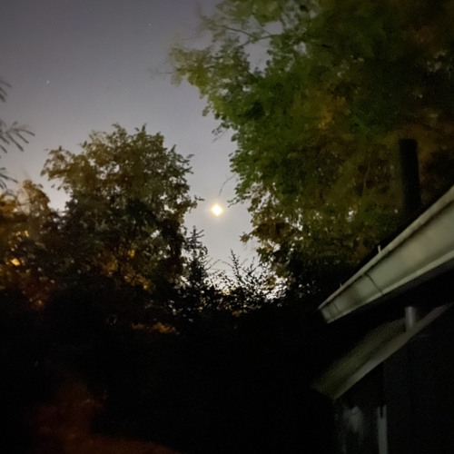 Stream Meg Rives music | Listen to songs, albums, playlists for free on ...