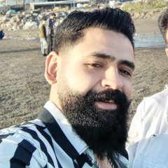 hadi akbari