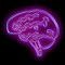 Brainwave 101
