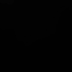 aallu_ak02