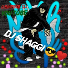 DJ SHAGGI