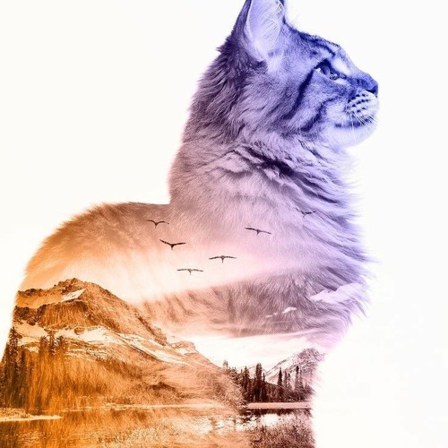 Boond Boond Remix by DJ ANGEL