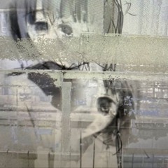 hallucinogenic.drugs021