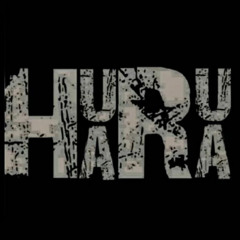 HR33