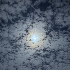 سامر