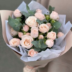 MafirX