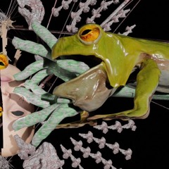 化学繊維/chemical fiber