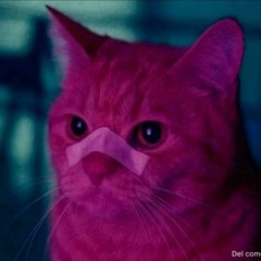 Alex Villanueva Perdomo