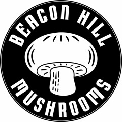 Beacon Hill Mushrooms