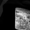 Bankroll_