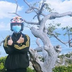 Lực Lê