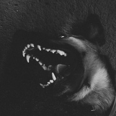EYES SEWN SHUT