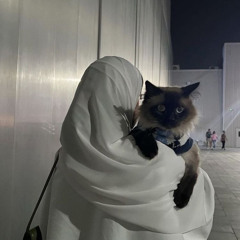 ملك الحجايا