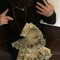 $avoLokz