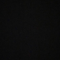 _ninaav