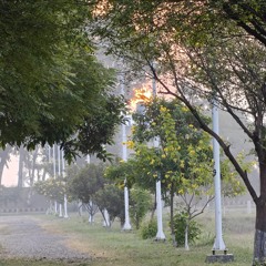 Ali Caba (BAYNA BAYNA) (I.N.G.)