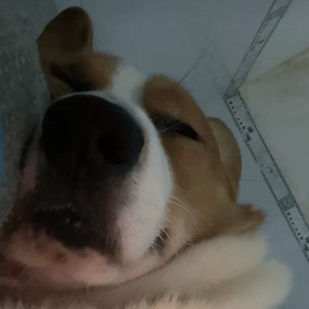 Stream Minh Hieu music | Listen to songs, albums, playlists for