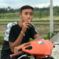 vianwidhiastika