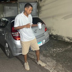 marreco3