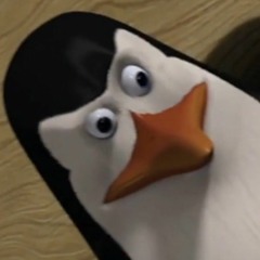 Kwolski Status Report!