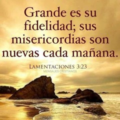 Jean Estherve Thelusma