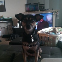FANG