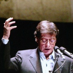 Baraa Kamel