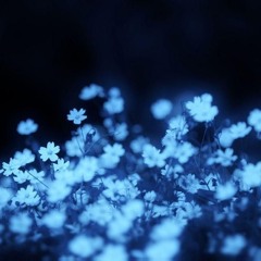╰☆╮FrostNova╰☆╮