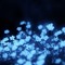 ╰☆╮FrostNova╰☆╮