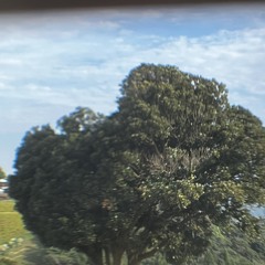 かうんとすりー