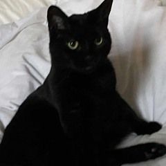 s̴̱̹͉̳͚̰̯̲̫̼̄̓̎͛̀̒i̶̡̢͍̦̲͙̺͈̰͉͆͑n̶̢͒̿͂͌͆͛̂͗̔͌̈̍̓͘͠