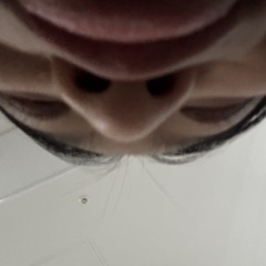 sy.u_9