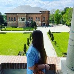 Iulia Selaru